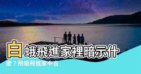 有鳥飛來家裡|【鳥飛進家裡】家有喜事來了！鳥飛進家裡預示著什麼吉凶？